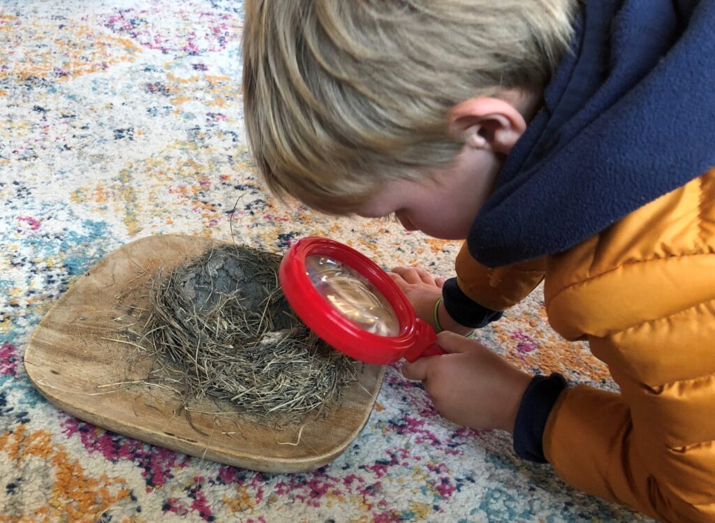 boy examining birds nest with magnifying glass