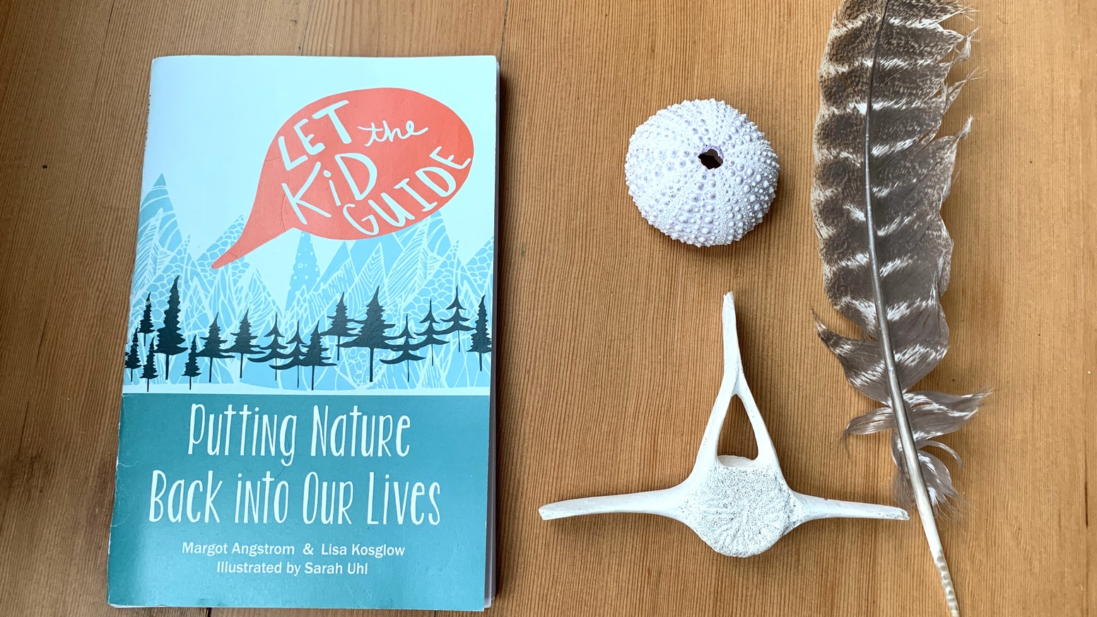 book cover of Let the Kid Guide