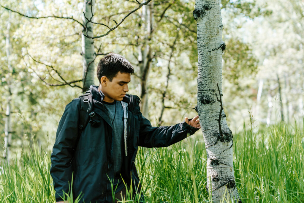 adolescent boy examines an aspen tree