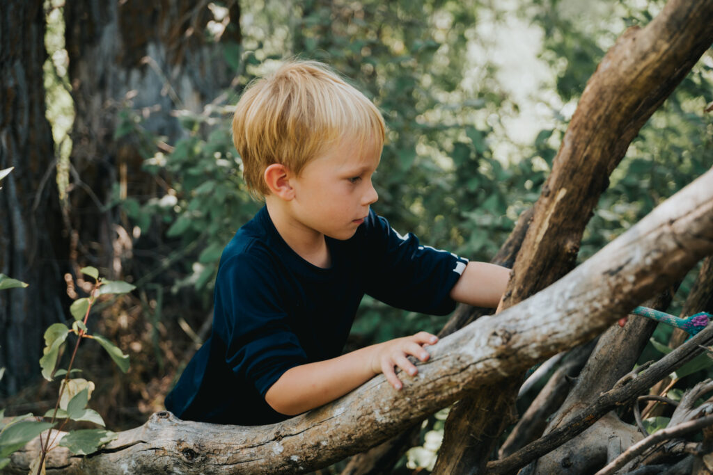 young boy exploring a tree