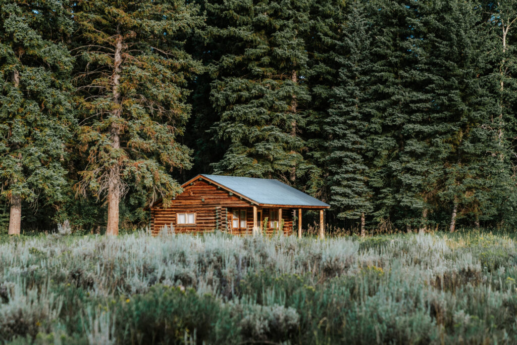 Murie Ranch cabin in the woods