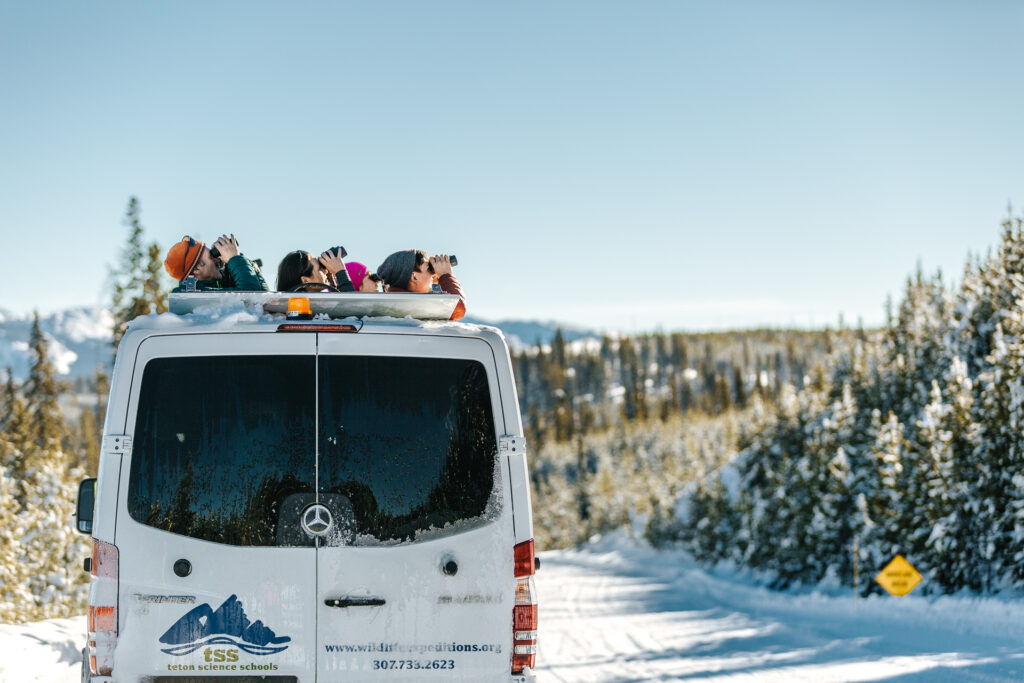 yellowstone winter tours from jackson hole