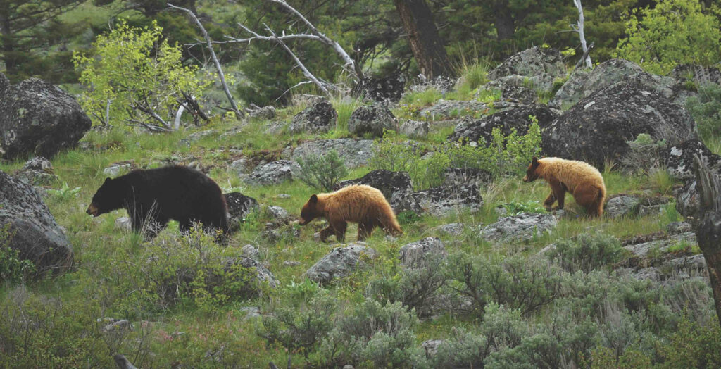 teton science school tours