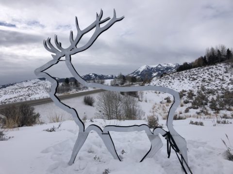 elk silhouette with highway in background